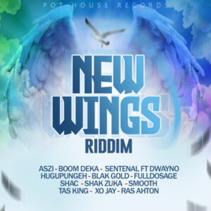 New wing cover for download